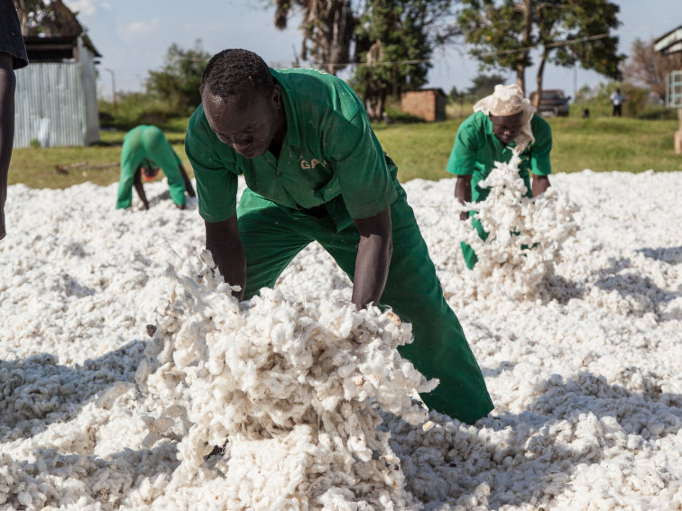 Uganda als Herkunftsland der Cotonea Bio-Baumwolle aus eigenem Projekt