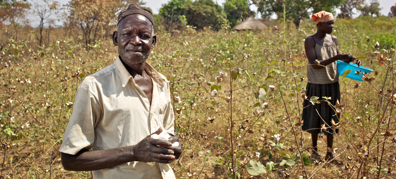 Cotonea gibt seine 150 Jahre alte Erfahrung an Bio Baumwoll Bauern weiter in Uganda