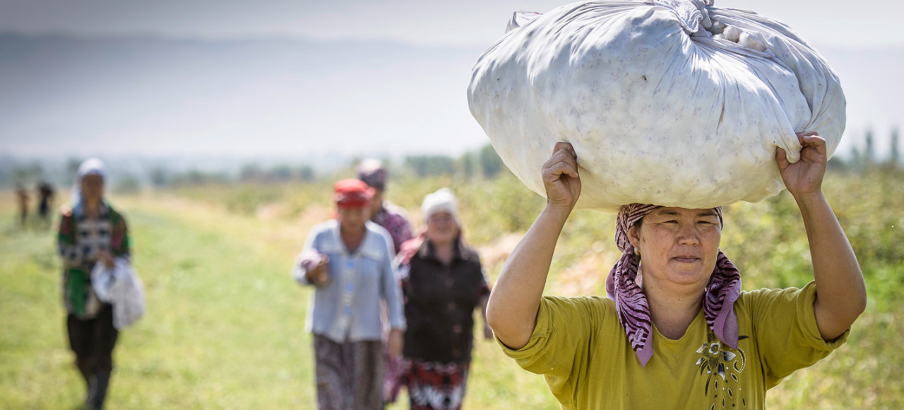 Kirgisische Bio Bäuerinnen gehen nach der Ernte nach Hause