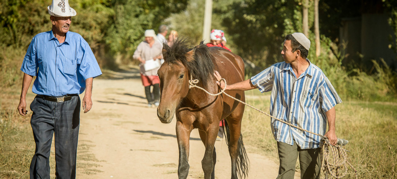 Besitzer von Pferden haben bescheidenen Wohlstand in Kirgistan