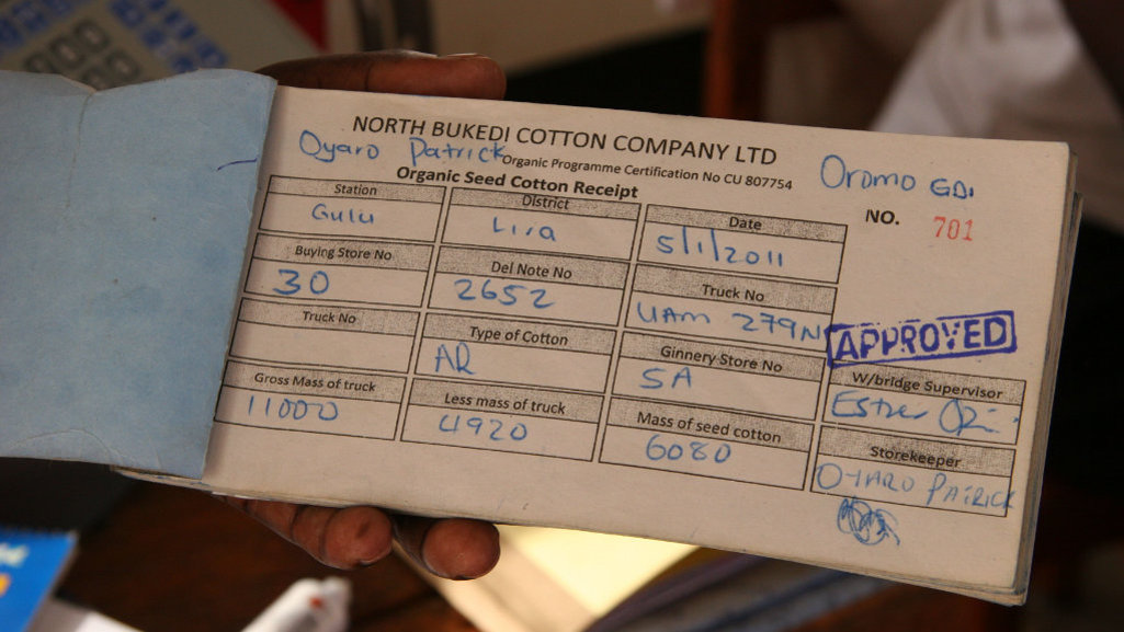 Cotonea erbringt Nachweis über ökologisch ausgebrachte Bio-Baumwollsaat
