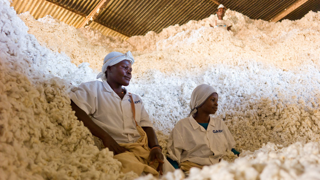 Überdachtes Bio Baumwoll-Lager in Uganda aus eigenem Projekt