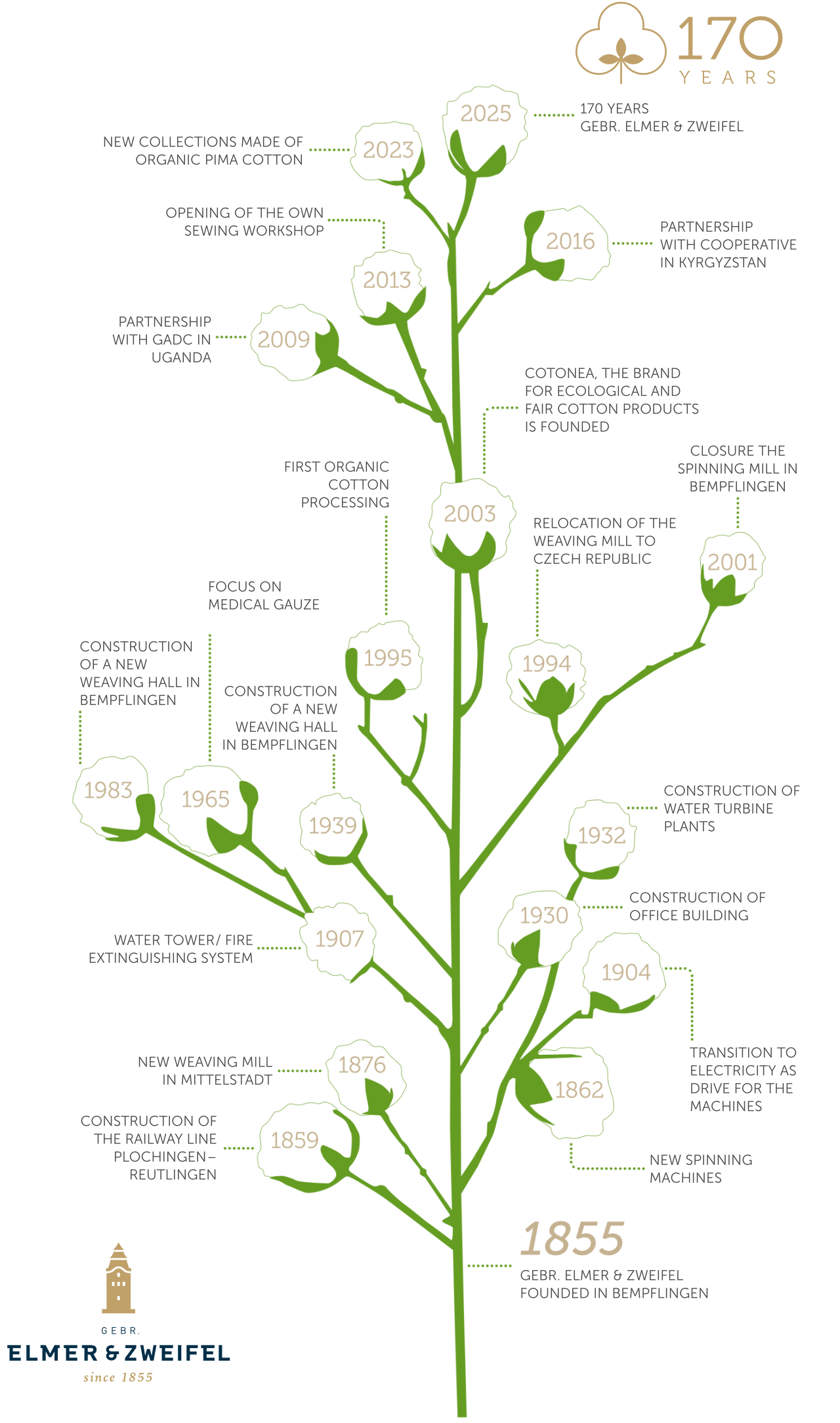Timeline Company History of Gebr. Elmer & Zweifel, Manufacturer of the Organic Label Cotonea