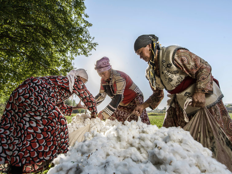 Kirgistan als Herkunftsland der Cotonea Bio-Baumwolle aus eigenem Projekt