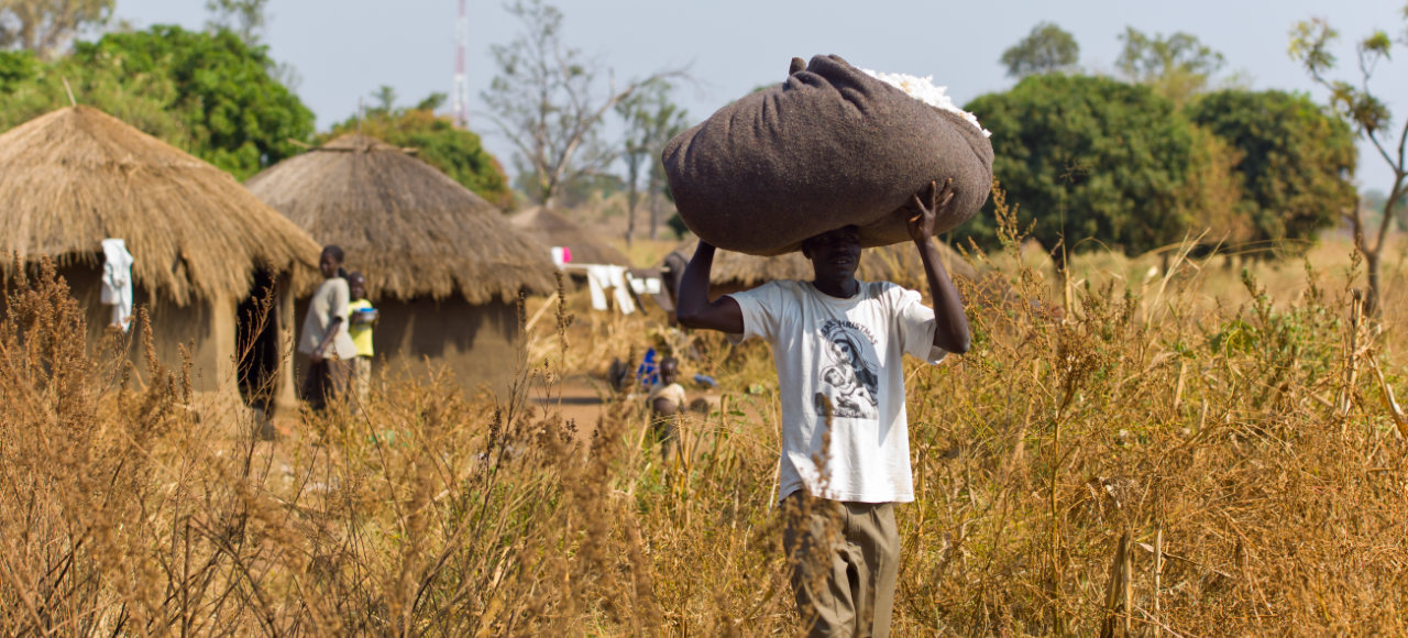 Transport in Uganda der Bio Baumwolle in Säcken auf dem Kopf
