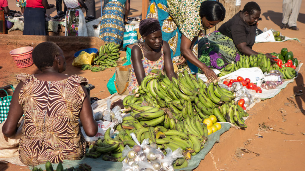 Kleinbäuerinnen stellen Ihre Ware auf dem Bananenmarkt in Uganda zum Verkauf
