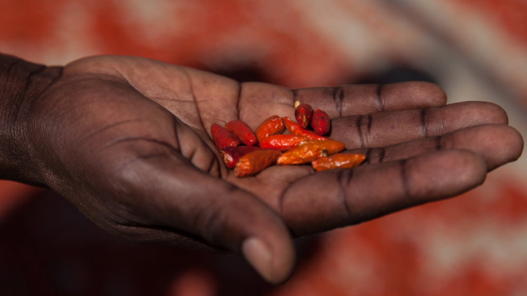 Potenzial Biolandwirtschaft in Afrika für die Welternährung