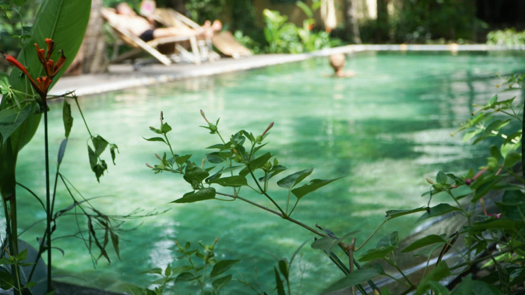 Living Pools in der Großstadt von Cotonea